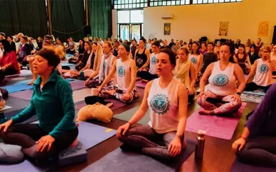 300 Hour Yoga Teacher Training